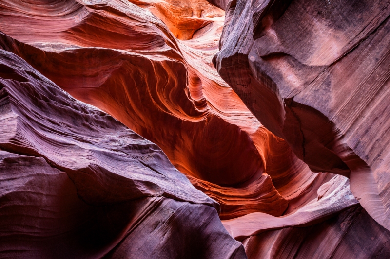 Antelope-Canyon_Mountain-Sheep_2009Apr20_3952