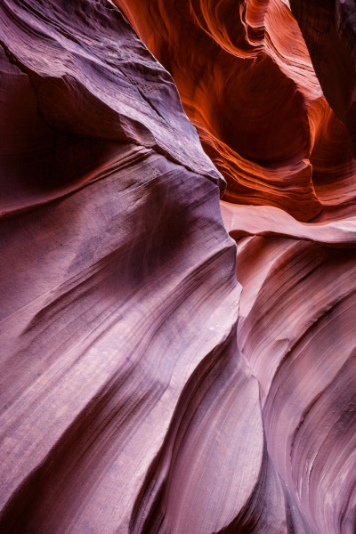 Antelope-Canyon_Mountain-Sheep_2009Apr20_3961