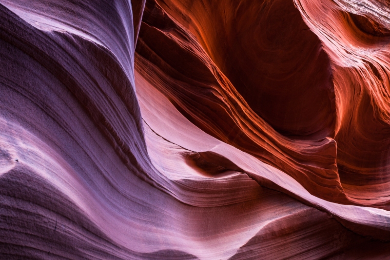 Antelope-Canyon_Mountain-Sheep_2009Apr20_3994