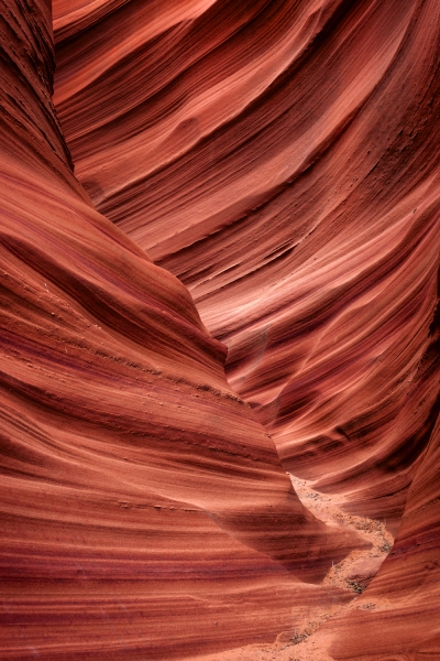 Antelope_Mountain-Sheep-Canyon_2009Apr20_3430