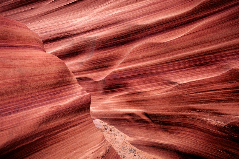 Antelope_Mountain-Sheep-Canyon_2009Apr20_3496