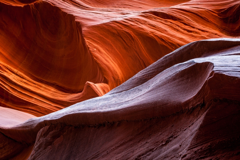 Antelope_Mountain-Sheep-Canyon_2009Apr20_3568