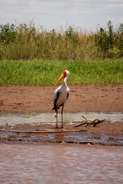 Africa_Omo_Delta_20071004_1018