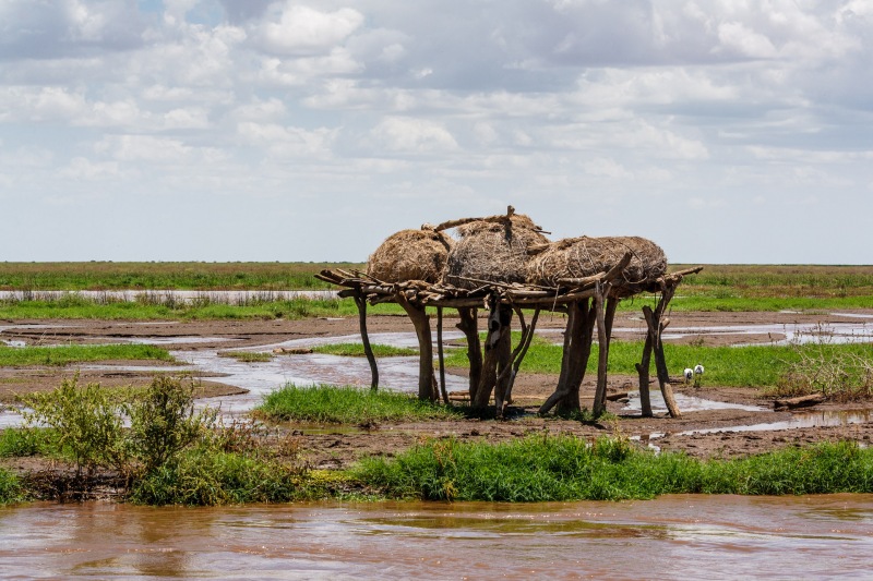 Africa_Omo_Delta_20071004_1084