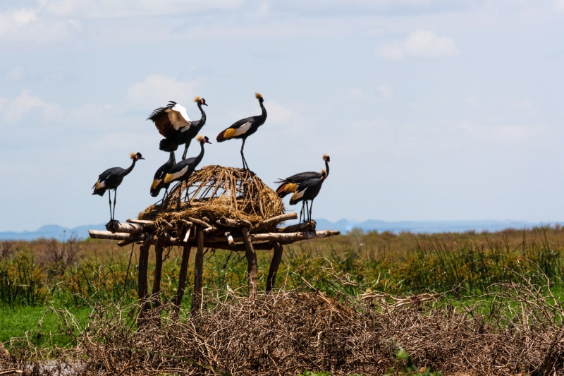 Africa_Omo_Delta_20071004_1330