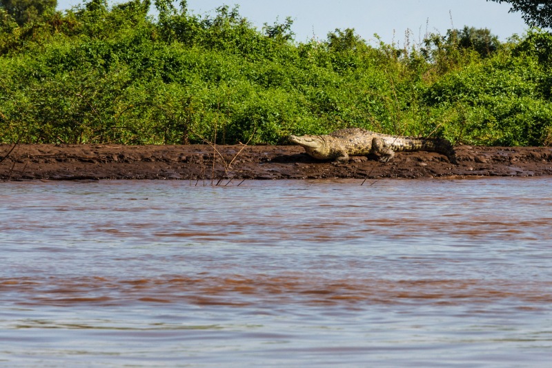 Africa_Omo_Delta_20071004_2365