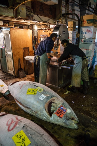 Japan_Tskiji_Fish_Market_Tokyo_20070217_1108