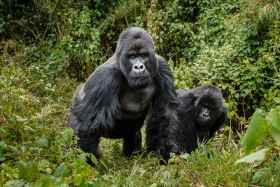 Africa_Rwanda_Gorillas_Twa_Village_20061009_0238-Edit