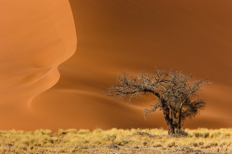 Africa_Namibia_Sossusvelei_Dunes_20080929_2204