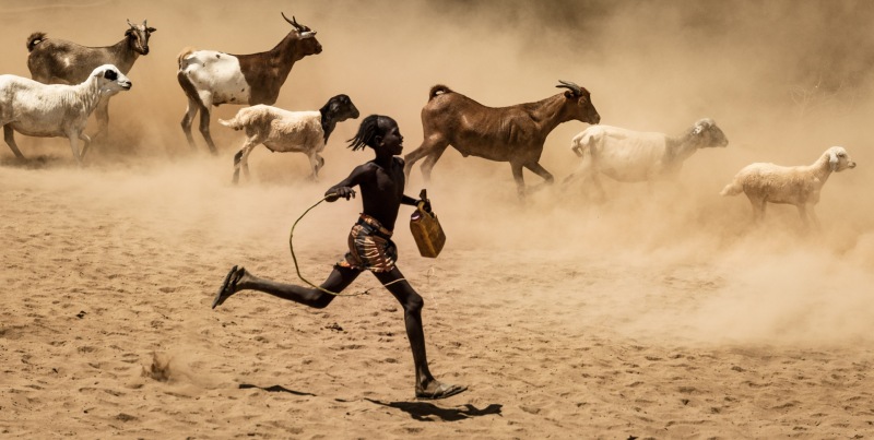 A young Hamer tribe boy herds his goats and sheep.