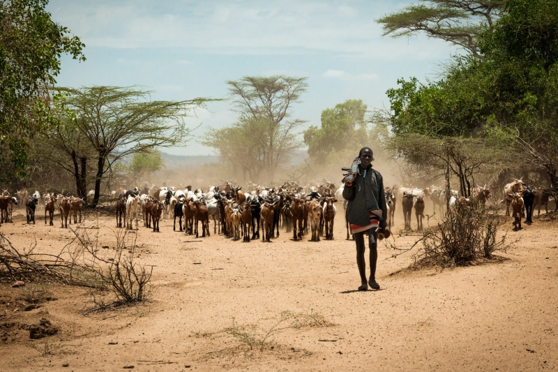 Bring the Flock to Water, Hamer Tribe