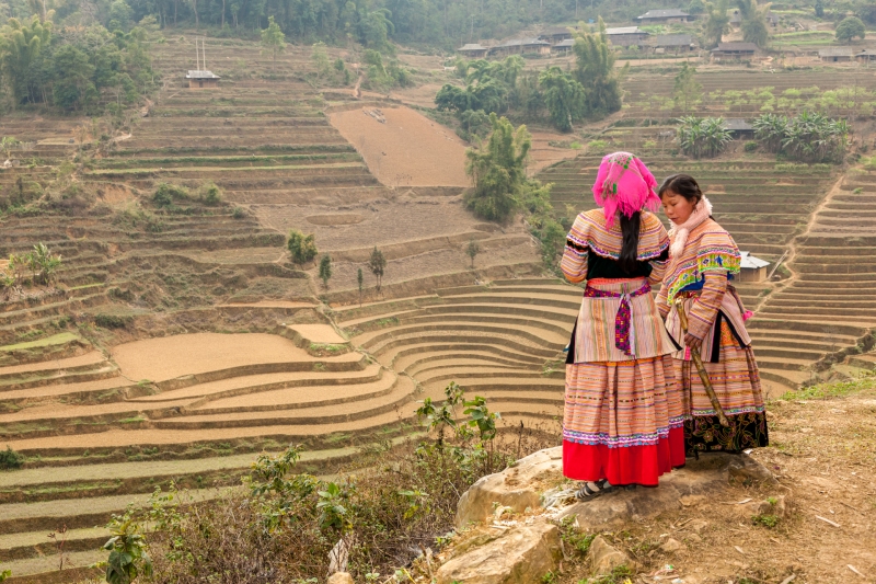 Viet_Bac_Ha_Flower_Hmong_20080307_0245