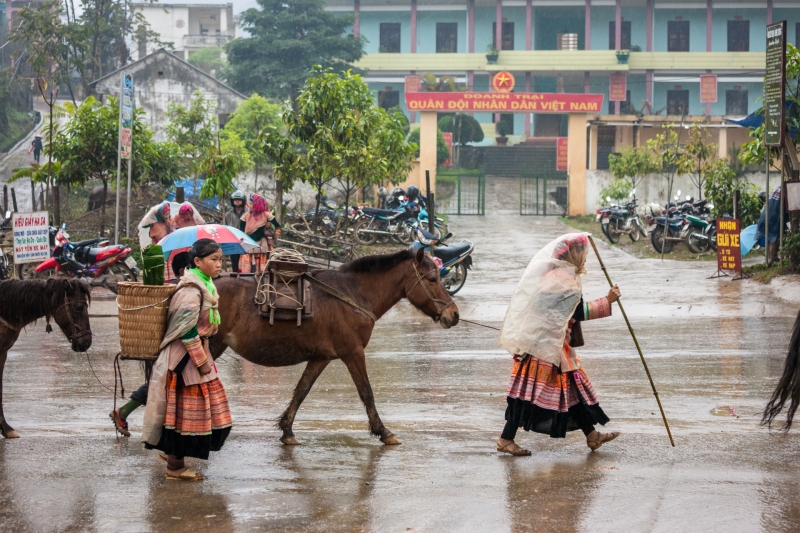 Viet_Nam_Bac_Ha_Hmong_Red_Dzao_20080308_0105