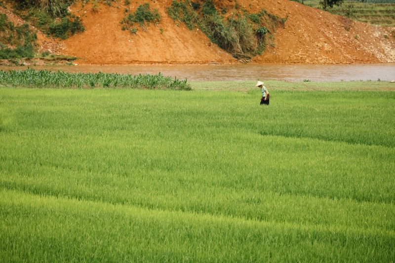 Viet_Nam_Black_Hmong_Lao_20080419_1766