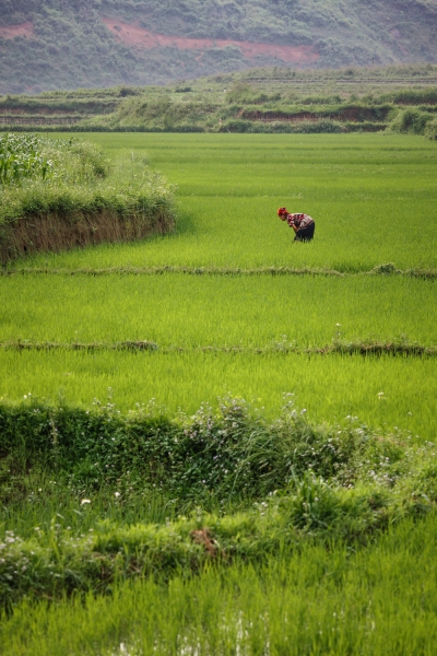 Viet_Nam_Black_Hmong_Lao_20080419_2154