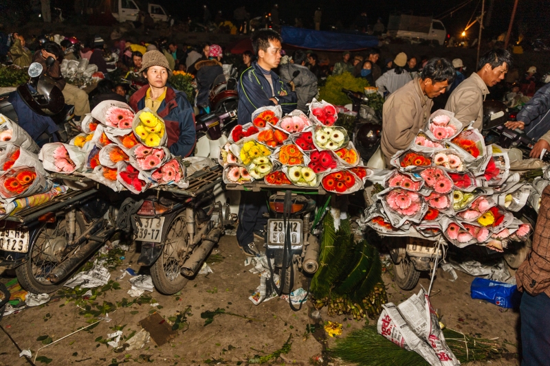 Viet_Nam_Flowers_20080306_0188