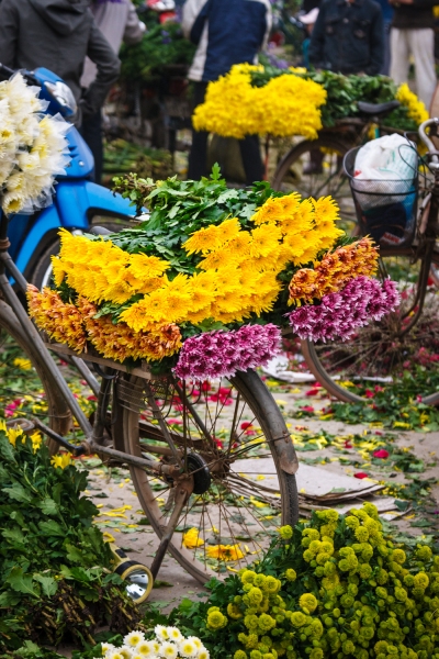 Viet_Nam_Flowers_20080306_0395