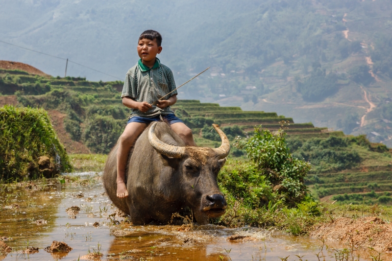 Viet_Nam_Sapa_20080419_0438