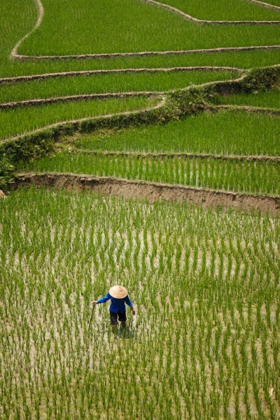 Viet_Nam_Sapa_20080419_0746