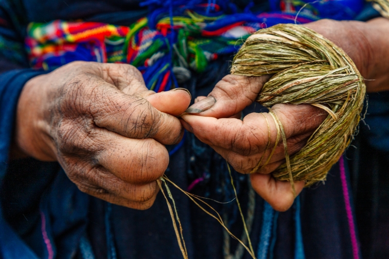 Viet_Nam_Sapa_Red_Dzao_20080310_0167