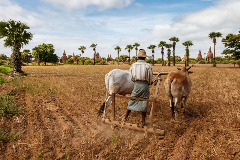 Burma_20090808_0370