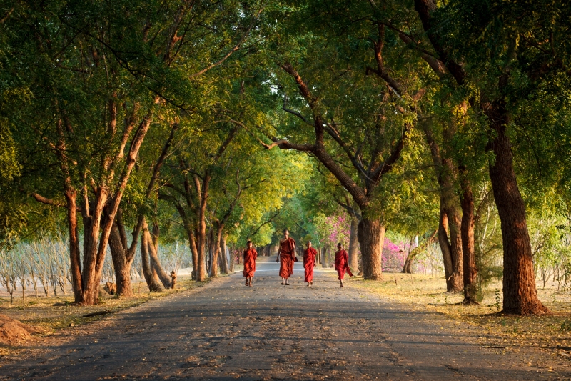 Burma_Bagan_20100209_3973