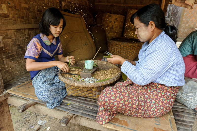 Burma_Mandalay_20100203_2531