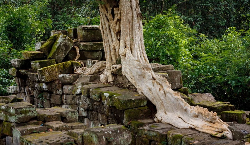 Cambodia_Angar_Wat_20080428_0653