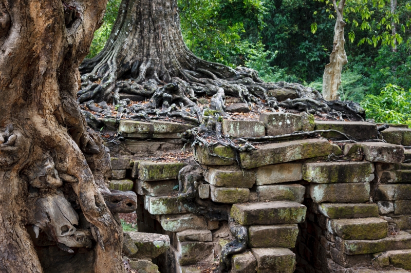 Cambodia_Angar_Wat_20080428_0715