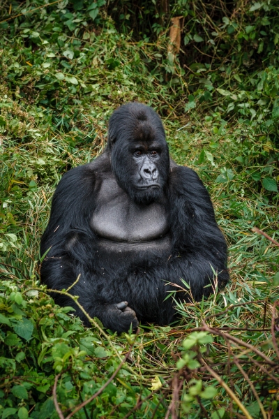 Africa_Rwanda_Gorillas_Twa_Village_20061009_0182