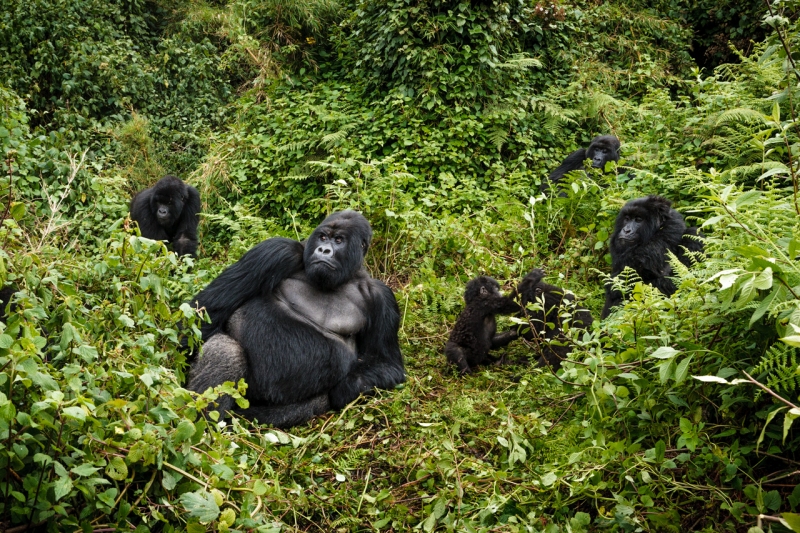 Africa_Rwanda_Gorillas_Twa_Village_20061009_0515