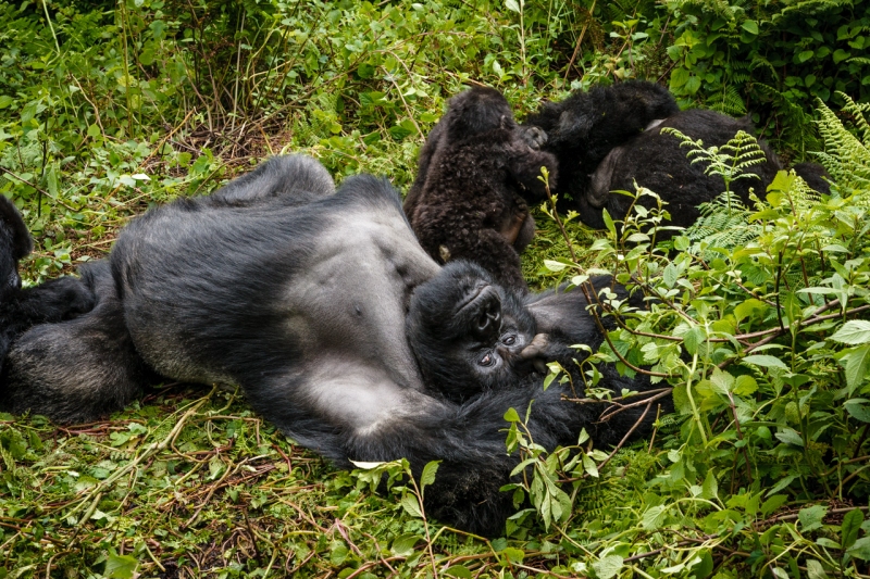 Africa_Rwanda_Gorillas_Twa_Village_20061009_0586