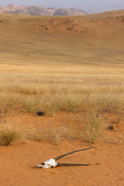 Africa_Himba_20081002_0387