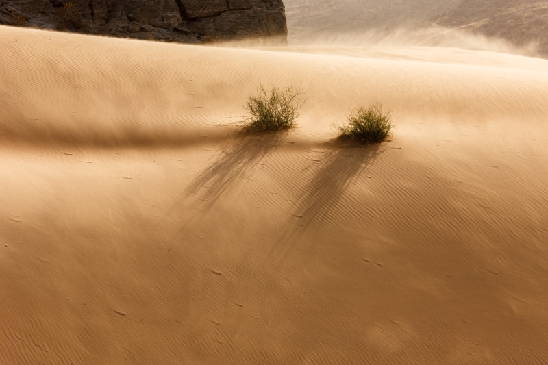 Africa_Namibia_Dunes_Himba_Goats_20081003_0046