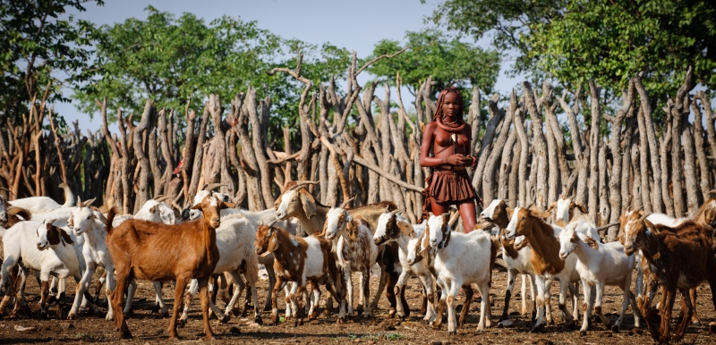 Namibia_Opuwo_Himba_Slums_2009Oct24_5484