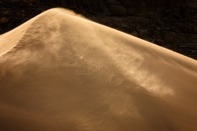 Africa_Namibia_Dunes_Himba_Goats_20081003_0091