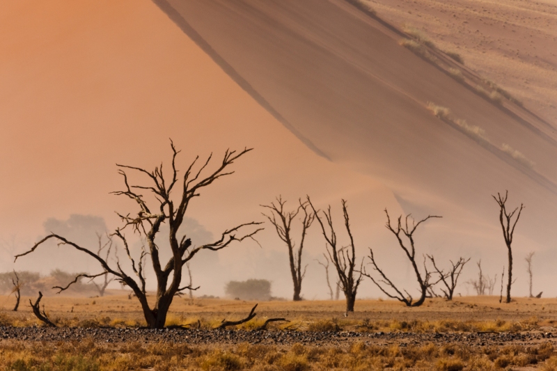 Africa_Namibia_Sossusvelei_Dunes_20080929_0432