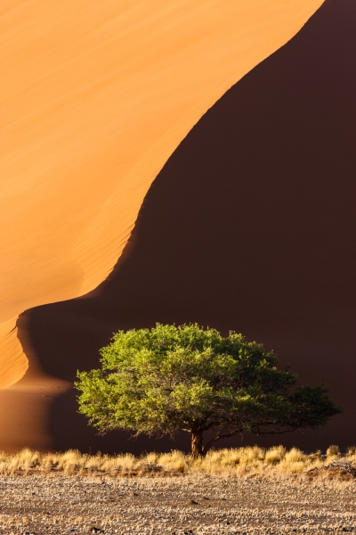 Africa_Namibia_Sossusvelei_Dunes_20080929_1111