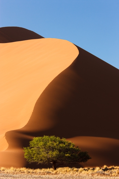 Africa_Namibia_Sossusvelei_Dunes_20080929_1840