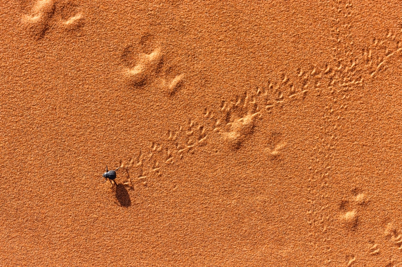 Africa_Namibia_Sossusvelei_Dunes_20080929_2250