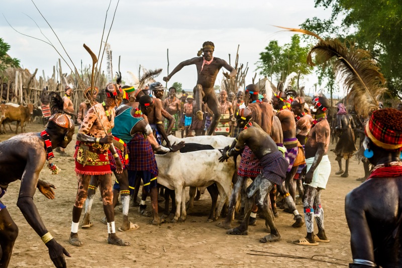 Bull Jump Ceremony, Kara Tribe Dus Village.