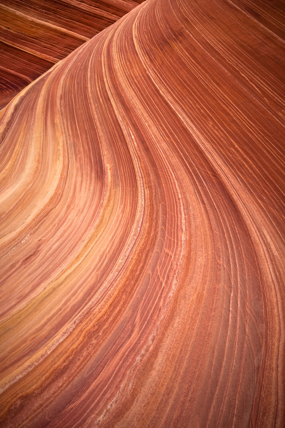 Utah_Wave_2010Oct10_1741_gsh_editcolor