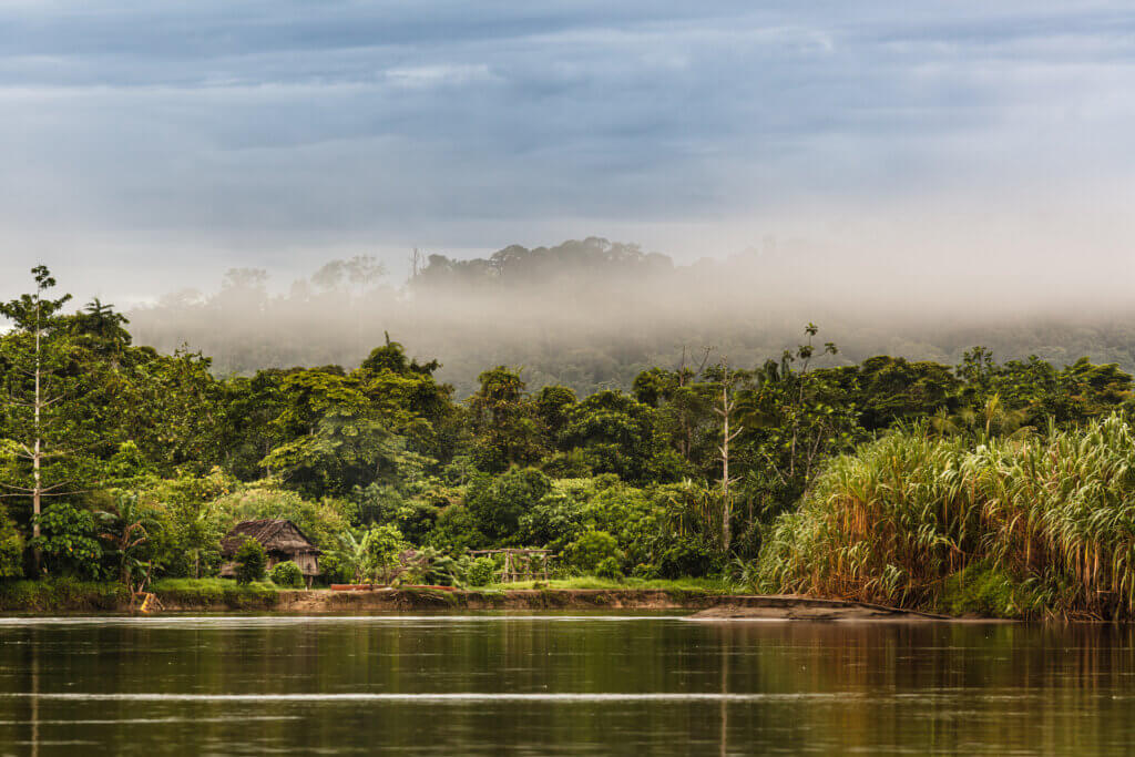 Into the Heart of PNG: A Journey Between Highlands and History